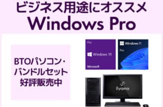 pc_windows_pro4-300x250